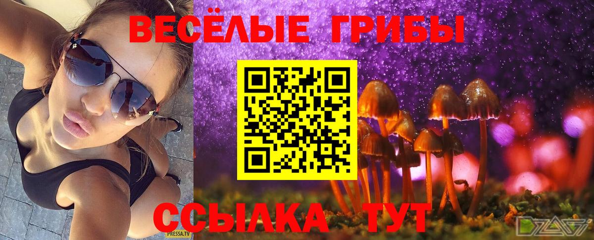 Псилоцибиновые грибы прущие грибы  Галлюциногенные грибы мухоморы  Малгобек  Вход с VPN 