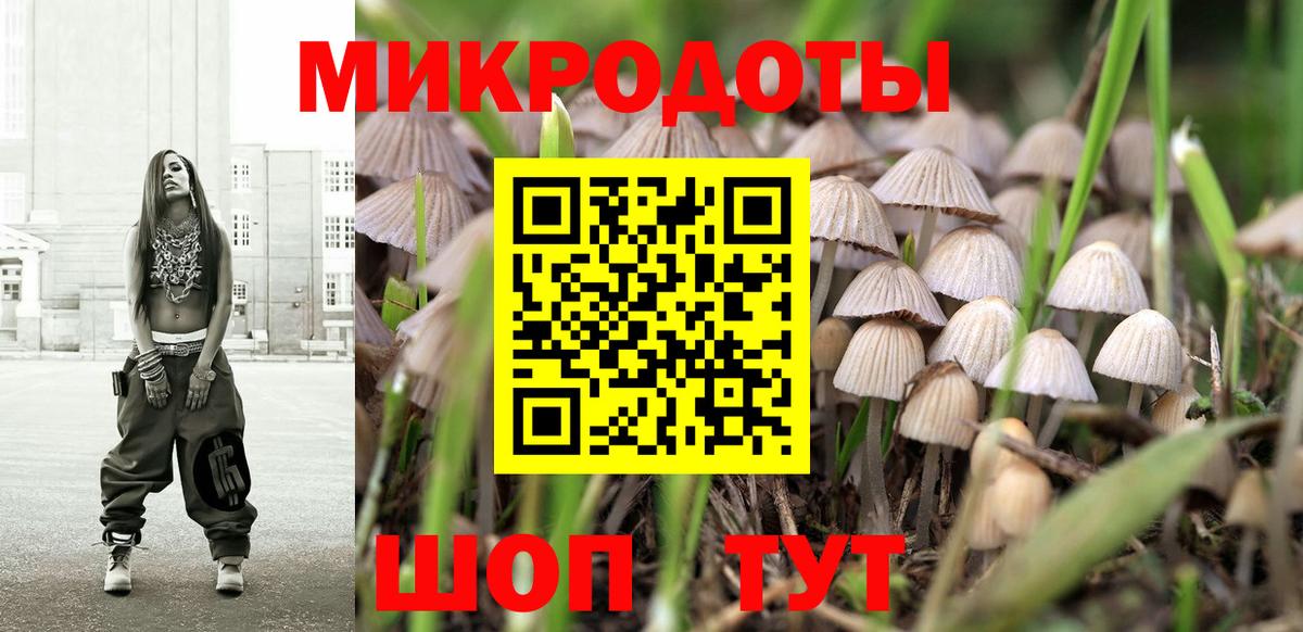 Псилоцибиновые грибы Малгобек