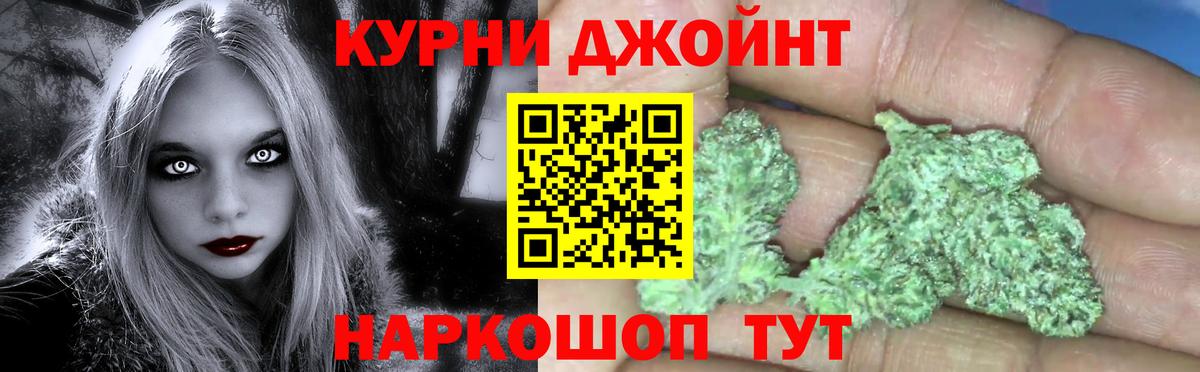 Каннабис MAZAR Малгобек